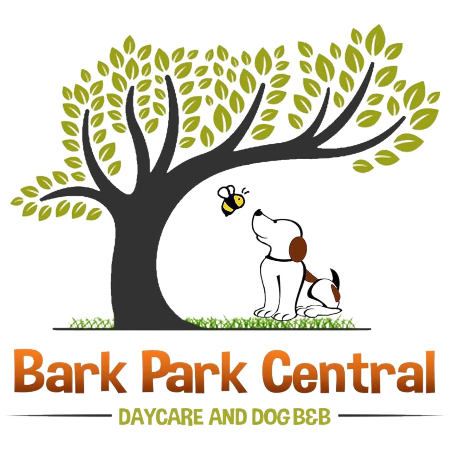 bark-park-central-dog-daycare-near-me-dog-boarding-dog-daycare
